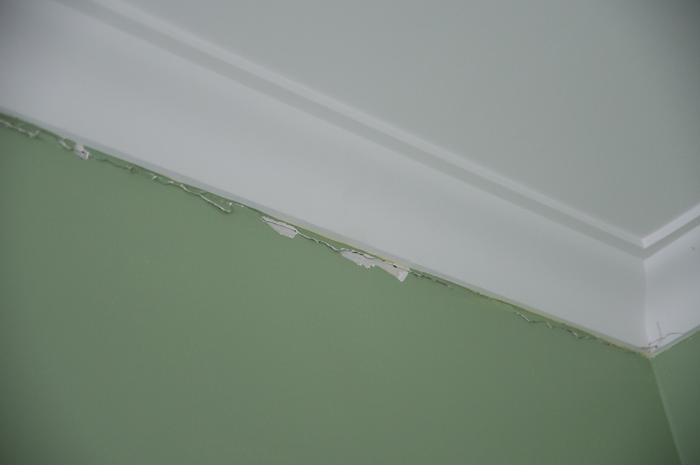 Bedroom 2, with a semi-detached cornice & more chips, cracks... & footprints on the ceiling (spider pig!).