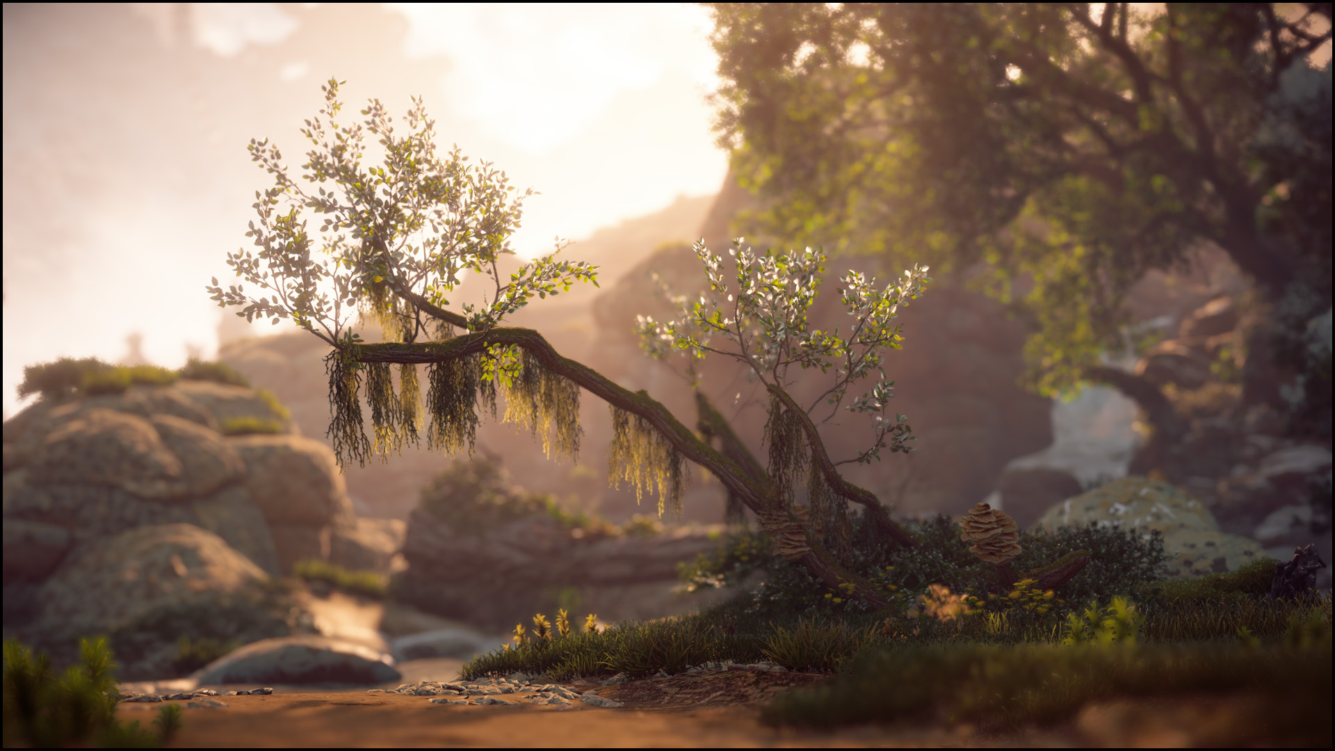 Screenshot of Horizon Zero Dawn. Soft golden dappled light surrounds a tree branch reaching over water